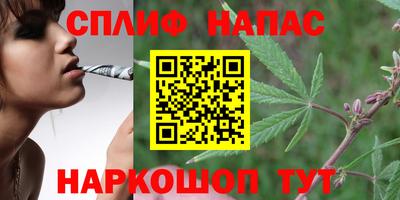 прущие грибы Малоярославец