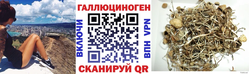 купить  цена  Сатка  Псилоцибиновые грибы Magic Shrooms 