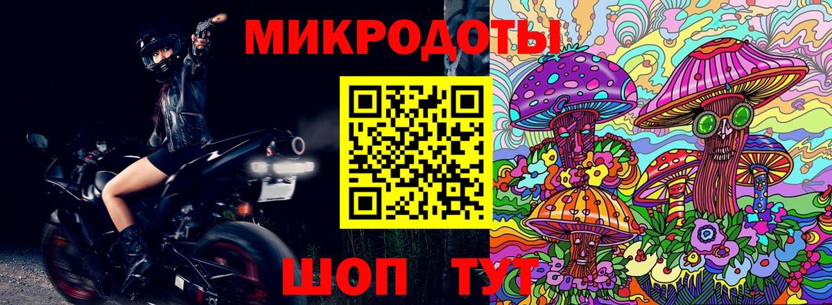 Псилоцибиновые грибы Cubensis Сатка