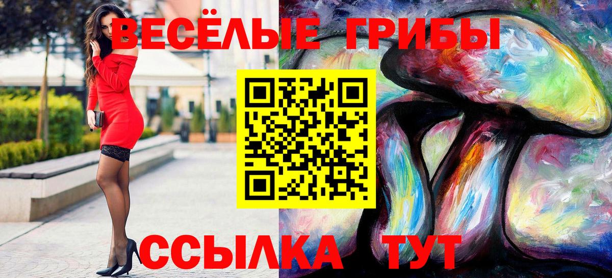 Сатка  магазин  наркотиков  Вход с VPN  Галлюциногенные грибы мицелий 